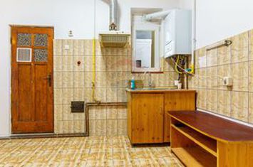 3 camere cu grădină, vilă interbelică, Emil Racoviță, Comision 0% anunturi imobiliare Cluj