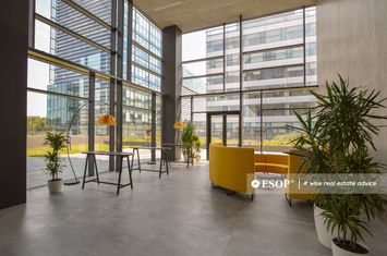 Birou de inchiriat GROZAVESTI - Bucuresti anunturi imobiliare Bucuresti