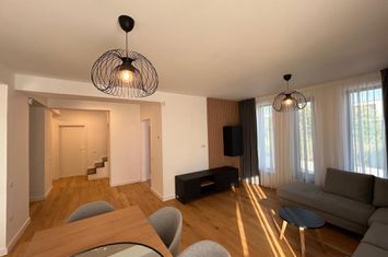 Modern villa located near the lake and forest, Dendrological Park anunturi imobiliare Bucuresti