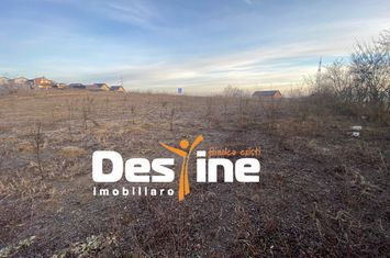 Teren de vanzare CIURBESTI - Iasi anunturi imobiliare Iasi