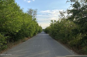 Corbeanca - Tamasi, intravilan, 16562 mp, deschidere 93 m, rezidential anunturi imobiliare Bucuresti