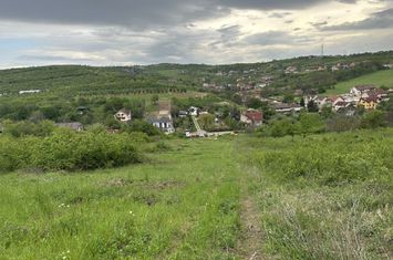 Teren 1300 mp Dealuri Oradea anunturi imobiliare Bihor
