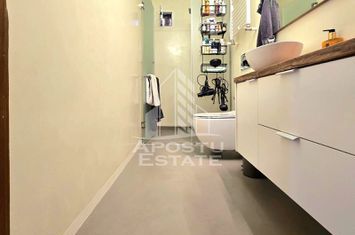 Casa individuala 4 camere , curte amenajata , terasa si piscina anunturi imobiliare Arad