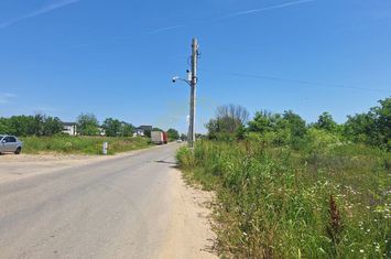 TEREN INTRAVILAN-3900 MP-MIRASLAU-ASTRELOR anunturi imobiliare Bucuresti