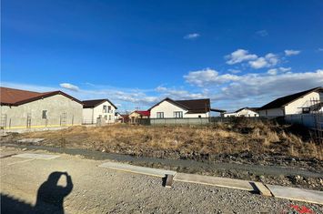 Teren Intravilan de vanzare EXTERIOR NORD - Vrancea anunturi imobiliare Vrancea