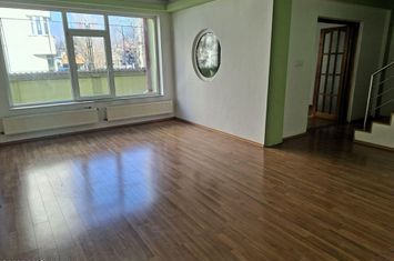 Vila cu 10 camere, destinatie rezidentiala / birouri anunturi imobiliare Bucuresti