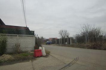 Drumul Targului-Stelelor anunturi imobiliare Bucuresti