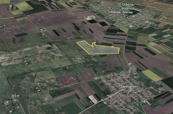 Teren 42 ha pentru parc fotovoltaic – Macea, Arad anunturi imobiliare Arad