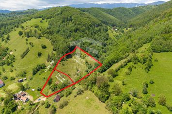 Moieciu de Jos |Teren 11.381 mp | Panoramă, potențial turistic anunturi imobiliare Brasov