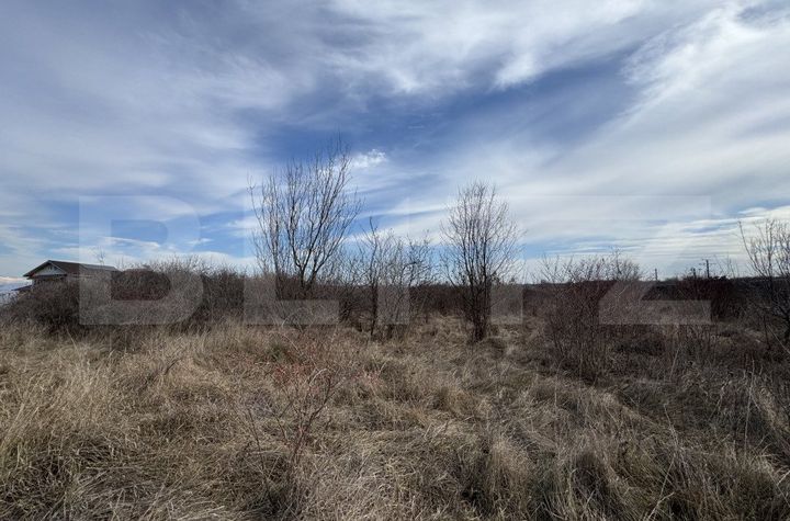Teren de vanzare CENTURA  - Gorj anunturi imobiliare Gorj