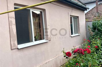 Casă - 3 camere de vanzare CANTEMIR - Bihor anunturi imobiliare Bihor