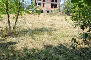 Vilă - 4 camere de vanzare DEJ - Cluj anunturi imobiliare Cluj