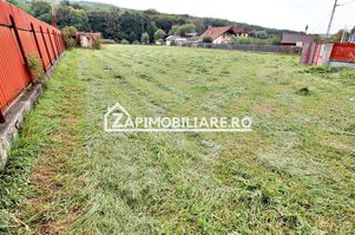 Teren Intravilan 5400 mp Corunca Valea Iubirii anunturi imobiliare Mures