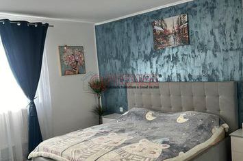 Piata Sudului - Fantana Florilor - Vila anunturi imobiliare Bucuresti