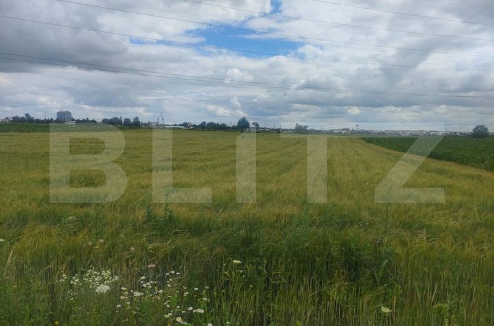 Teren de vanzare RADAUTI - Suceava anunturi imobiliare Suceava