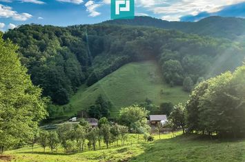 Teren  pentru investiții  în Luncoiu de Jos anunturi imobiliare Hunedoara