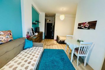 GARSONIERA COCHETA DE INCHIRIAT, MUTARE IMEDIATA, TATARASI 2 BAIETI anunturi imobiliare Iasi