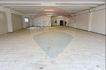Spațiu industrial in zona Avrig-Inchiriere anunturi imobiliare Sibiu