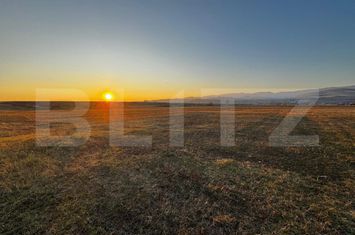 Teren de vanzare ALBA IULIA - Alba anunturi imobiliare Alba