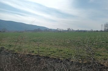 Teren agricol plat 3000 mp de închiriat, Moustheni anunturi imobiliare Grecia