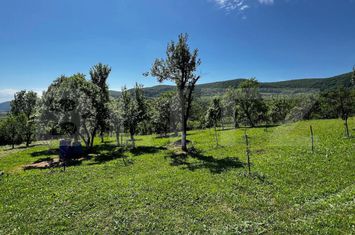 Teren de vanzare BISTRITA - Bistrita-Nasaud anunturi imobiliare Bistrita-Nasaud