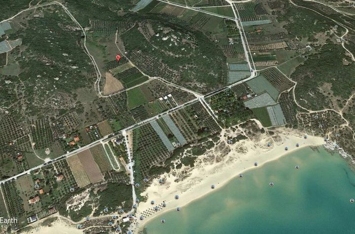 Teren 2040 mp cu măslini, Nea Peramos (Ammolofoi) anunturi imobiliare Grecia