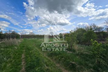Teren 2000 mp  Intravilan anunturi imobiliare Arad