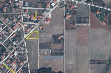 Teren construibil 1.216 mp în Kokkinogeia, Prossotsani anunturi imobiliare Grecia