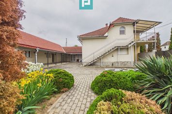 Casă complet modernizată, P+1 în Buteni, Arad anunturi imobiliare Arad