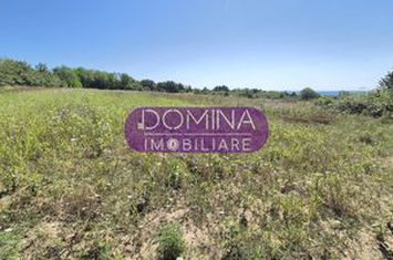 Teren de vanzare SCOARTA - Gorj anunturi imobiliare Gorj