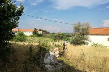 Teren construibil 902 mp în Zarkadia Nestou anunturi imobiliare Grecia