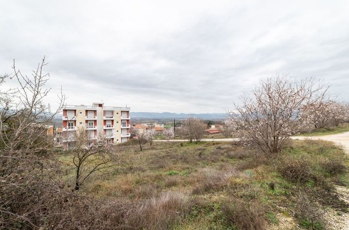 Teren construibil 760 mp în Krinides anunturi imobiliare Grecia