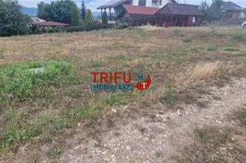 Teren Intravilan de vanzare SEUSA - Alba anunturi imobiliare Alba