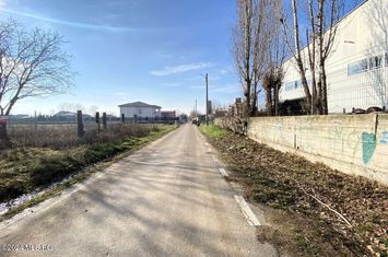 Afumati - Str. Iasomiei, 2409 MP, stradal, intravilan, deschidere 12 m anunturi imobiliare Bucuresti