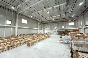 Spațiu industrial de inchiriat OTOPENI - Bucuresti anunturi imobiliare Bucuresti