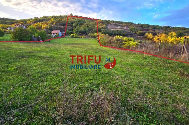 Teren Intravilan de vanzare CETATE - Alba anunturi imobiliare Alba