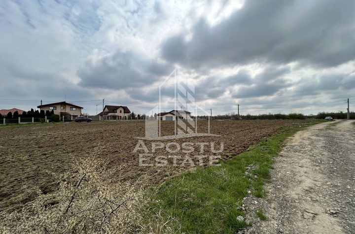 Parcele 550 mp, PUZ nou, langa case construite, asfalt, SAG-Manastire anunturi imobiliare Timis