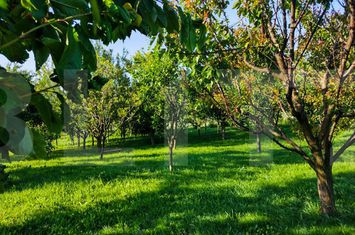 Casă - 2 camere de vanzare AITON - Cluj anunturi imobiliare Cluj