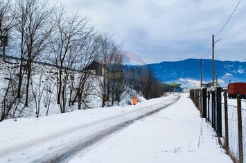 Teren intravilan 9.574 mp în Săliște, poziție strategică, ideal invest anunturi imobiliare Sibiu