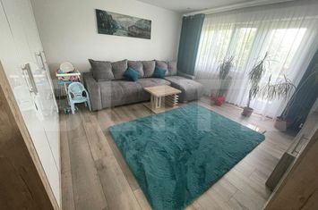 Apartament 2 camere de vanzare CAMPIA TURZII - Cluj anunturi imobiliare Cluj