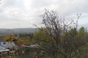 Telega Prahova anunturi imobiliare Prahova
