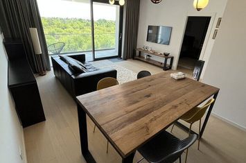 Apartament 2 camere, complex rezidential The Ivy, Baneasa anunturi imobiliare Bucuresti