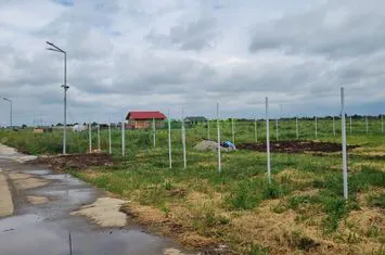 VÂNZARE TEREN INTRAVILAN - 1000 MP - FRUMUȘANI anunturi imobiliare Bucuresti