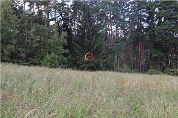Teren Intravilan de vanzare EXTERIOR EST - Brasov anunturi imobiliare Brasov