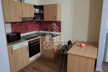 Apartament 1 camera, centrala proprie, parter, Complexul studentesc anunturi imobiliare Timis
