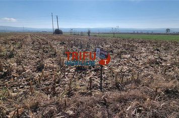 Teren Intravilan de vanzare CENTRAL - Alba anunturi imobiliare Alba