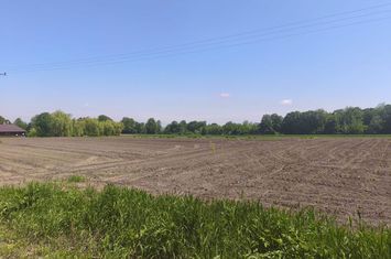 Teren de vanzare GALANESTI - Suceava anunturi imobiliare Suceava