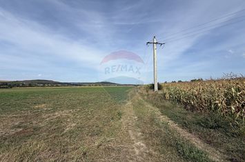 Teren Investitii  |  Zona Tetarom III-Bontida-Rascruci anunturi imobiliare Cluj