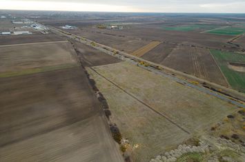 Teren 22.500 mp – Pecica, jud. Arad anunturi imobiliare Arad