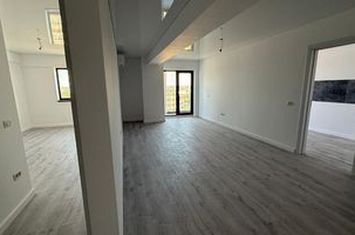 APARTAMENT CU 2 CAMERE, VEDERE SUPERBA, MUTARE IMEDIATA anunturi imobiliare Iasi